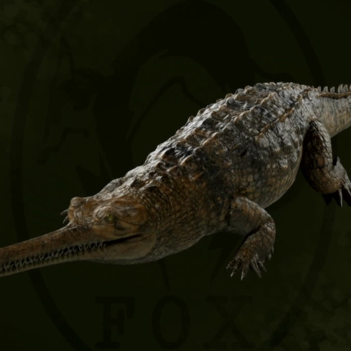 メタルギアデルタ_インドガビアル_アイコン